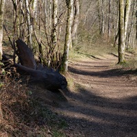 Photo de belgique - Le sentier des songes